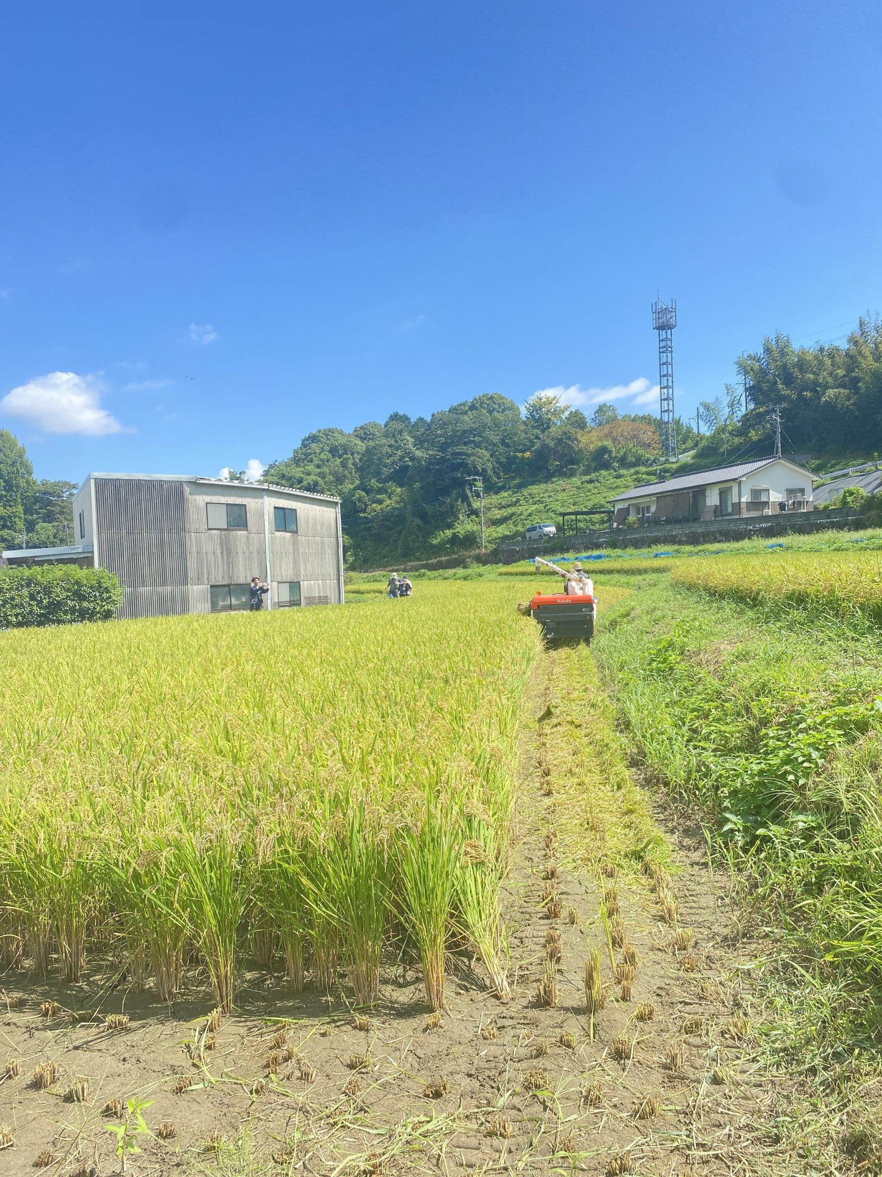 研究を行ったフィールド