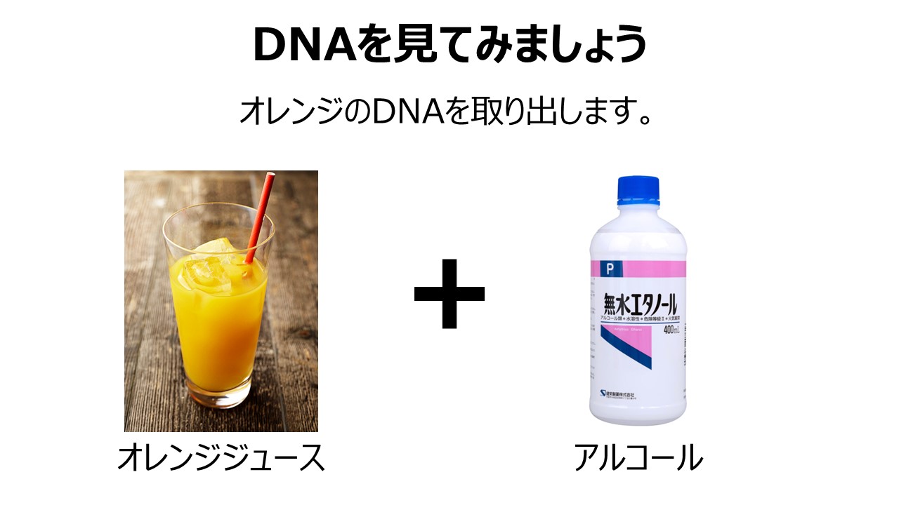 金津さんのスライド２