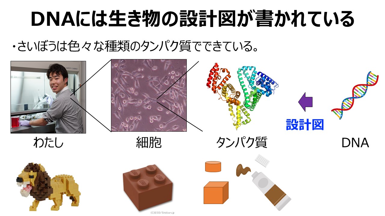 金津さんのスライド1