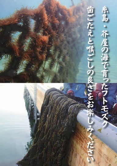 ふともずく（免疫村フェスティバル09）