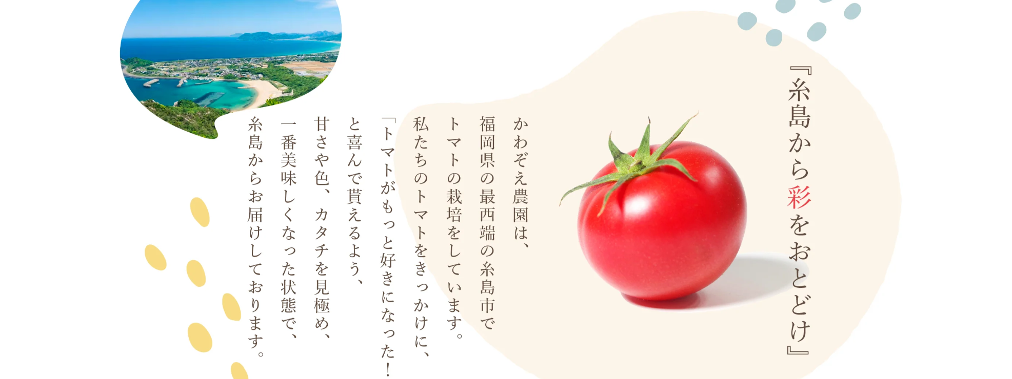 かわぞえ農園画像